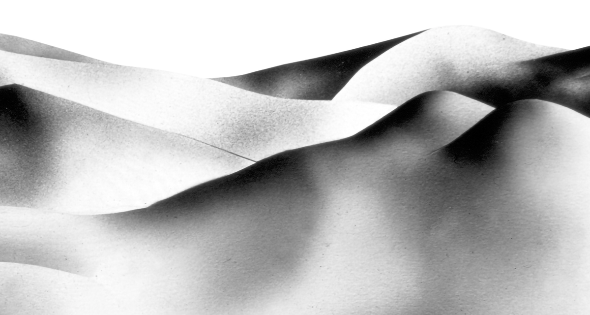 Legs — Signed 24 × 18 Landscape Poster | First-Run Pre-order